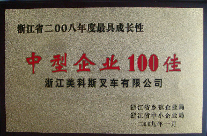 中型企业100佳